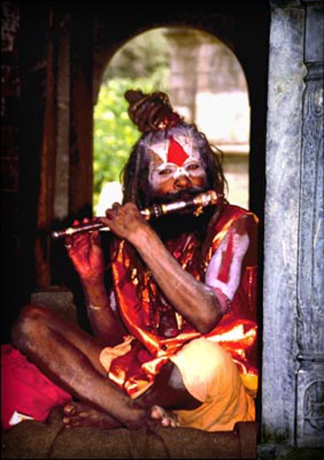 sadhuflute